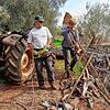 Renata und Christoph Popp bei einem Workaway-Einsatz auf einem Bauernhof in Apulien beim Brennholz aufbereiten. Workaway (im Ausland ...