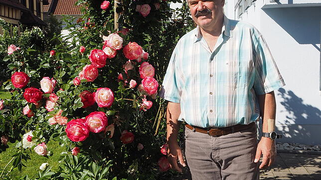 Zahlreiche Rosen schmücken den Garten von Heinrich Holl, der für die UWV in Engen in den Gemeinderat einzieht. Der verdiente ...