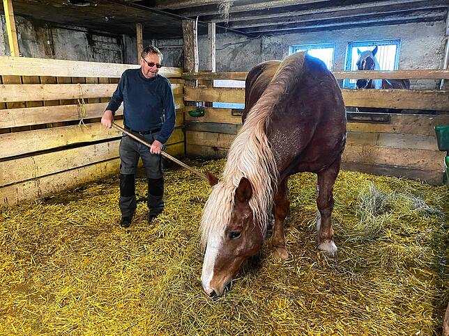 Auf dem Pferdehof gibt es immer irgendwo Arbeit. Besitzer Arnold schütz mistet die Box von Wildfang aus.