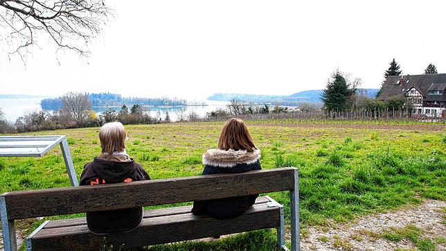 Die Insel Mainau erweitert sukzessive den Apfelanbau auf ihrem Gelände unterhalb der Litzelstetter Seeblickhalle. Die Litzelstetter ...
