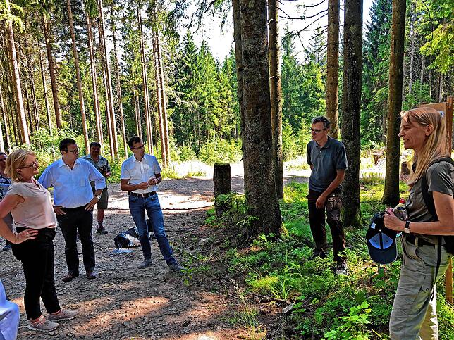 Den heimischen Wald im Blick hatte das Projekt „Modellgebiet Südschwarzwald“. Die CDU-Landtagsabgeordnete Sabine ...