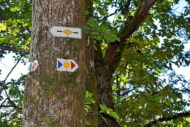 Schilder am Hutpfad weisen auf drei verschiedene Schwierigkeitsgrade hin: Gelb (leicht), blau (relativ einfache Bergwanderwege) bis rot ...