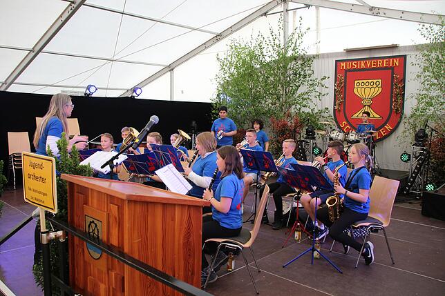 Bild 8: Bilder vom Bezirksmusikfest Schwerzen am Freitag