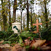 Eine Musterurne und ein Holzkreuz stehen in einem Friedwald.