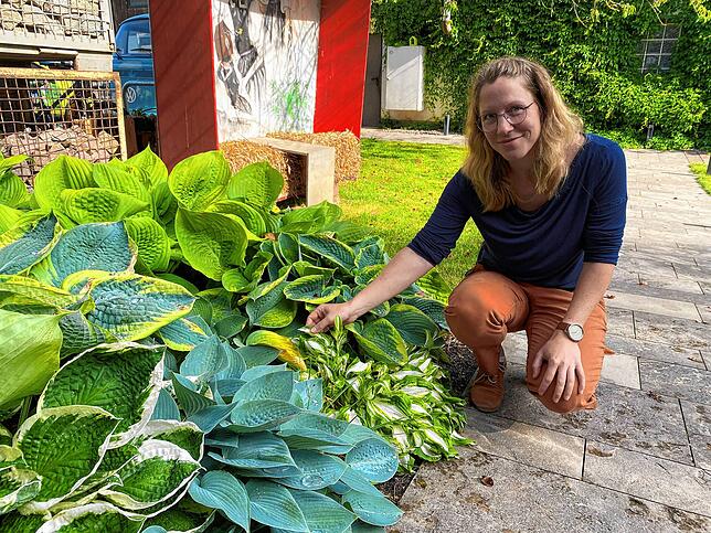 So geht&lsquo;s pflegeleicht und grün statt grau: Alexa Fritsch von der Villinger Firma Wildigarten erklärt, wie ein Vorgarten mit ...