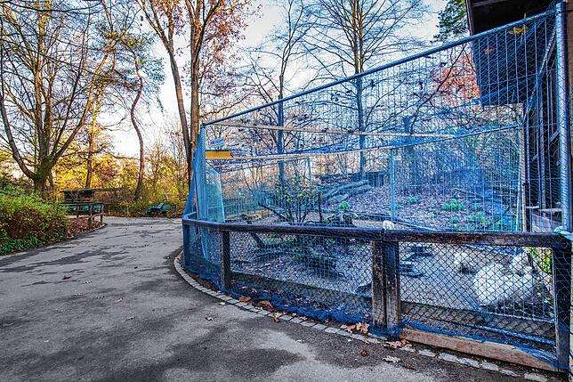 In der Schweiz gelten bis Mitte Februar 2023 wegen der Vogelgrippe Schutzmaßnahmen. Diese Maßnahmen muss auch der Basler Zoo einhalten.