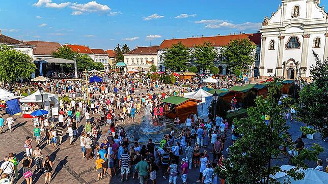 In der ungarischen Partnerstadt Vác wird jährlich Ende Juli die   &bdquo;Vácer weltliche Lustbarkeit&ldquo; gefeiert. Dieses Jahr muss ...