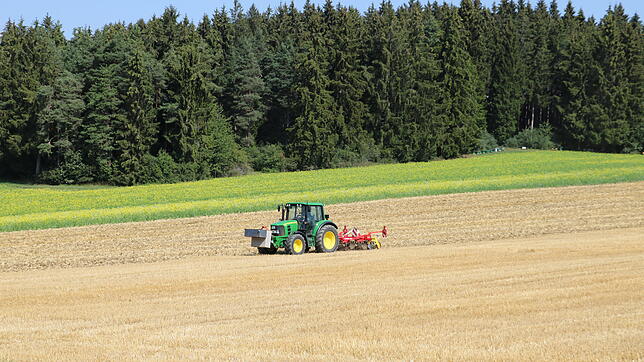 Infolge des Hitzesommers verlagerte sich die Ernte um drei bis vier Wochen nach vorne, nun wird schon gegrubbert.