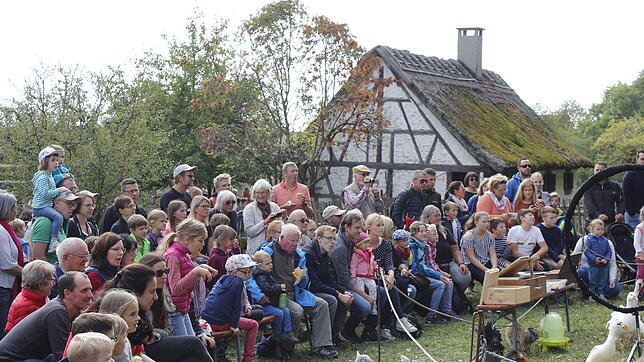 Gaukler, Zauberer, Zirkus und die Hexe "Raija" waren die Anziehungspunkte bei den Aufführungen für Kinder, Eltern und Großeltern.