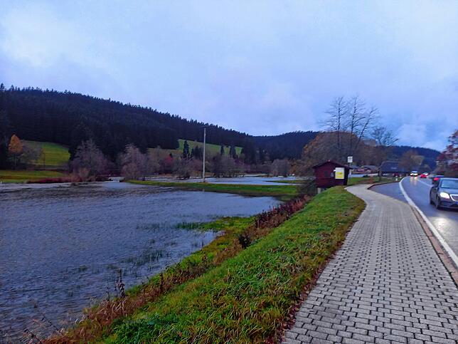 Dank freigehaltener Wiesen- und Auenflächen kann sich die Hochwasser führende Breg über ihre angestammten Ufer hinaus ausbreiten &ndash; ...