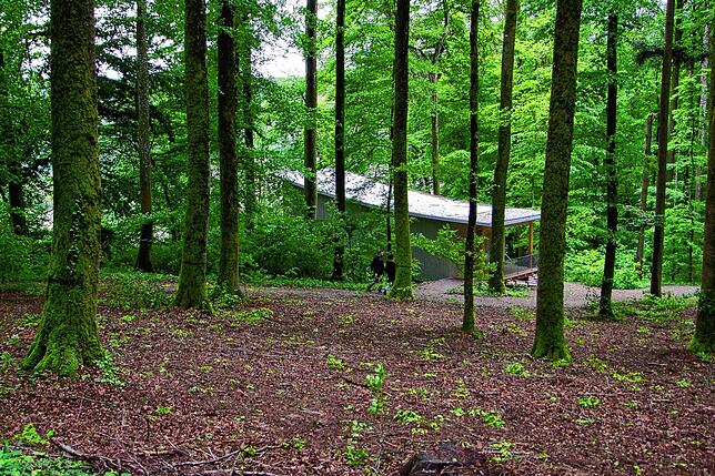 Der Waldfriedhof in Lienheim. Er wurde von Landschaftsarchitekt Christian Burkhard geplant, der auch den Ruhewald in Horheim planen wird.