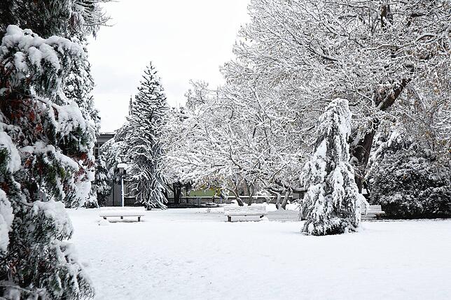 Bild 9: So schön ist der Schnee in Bad Säckingen und auf dem Hotzenwald! Wir haben die Bilder