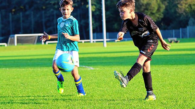 Bild : Auch die Jugendfußballer starten in die Saison. Wir haben Bilder vom E-Jugendtraining des SV Allensbach!