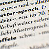 Im Bodenseeraum wird alemannisch gesprochen. Aber wie gut kennen Sie sich mit diesem Dialekt aus?