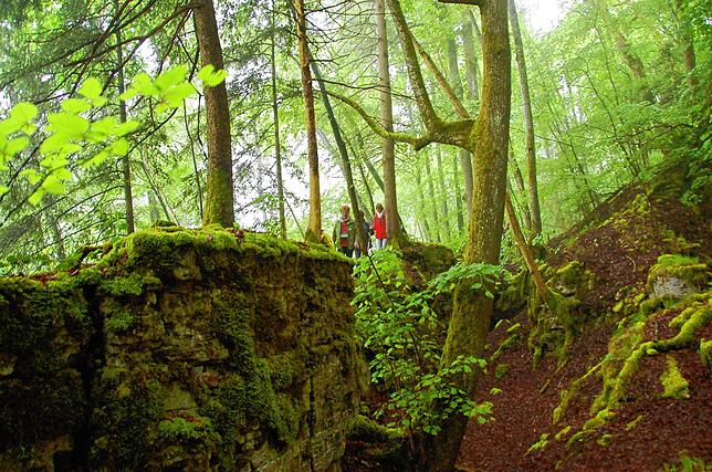 Die Tour um den Stühlinger Schlossberg erfordert Trittsicherheit und an manchen Stellen auch Schwindelfreiheit. Denn sie führt auch ...