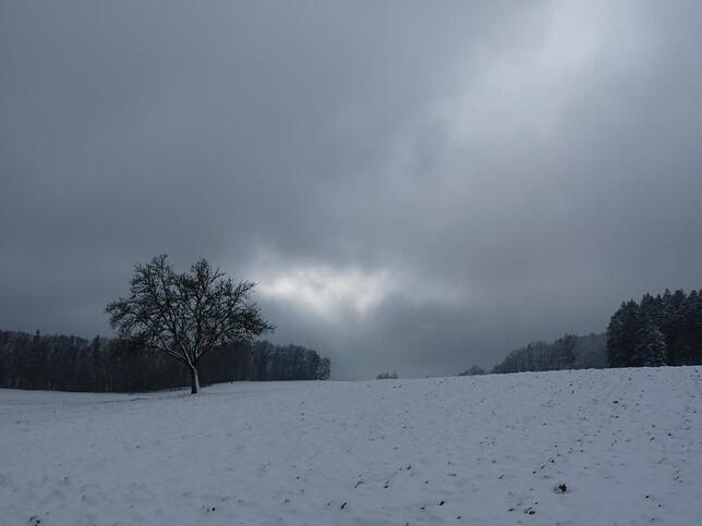 In Rauhnächten und manchmal auch an Rauhreiftagen geht es durch die Stille des Waldes und die offene Landschaft. Die Teilnehmer der ...