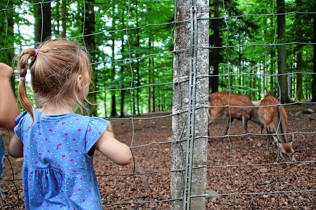 Bild 24: SÜDKURIER öffnet Türen im Waldshuter Wildgehege &ndash; und wir haben die Bilder