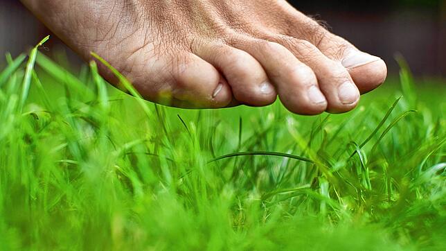 Wer seinen Füßen etwas Gutes tun will, sollte öfter mal barfuß laufen &ndash; im Sommer gern auch draußen.