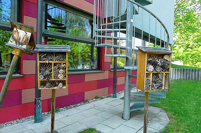 Gleich zwei Insektenhotels stehen bei der Grundschule in Deggenhausertal. Rektorin Maike Steininger hat die Häuser auf ihrer langen ...