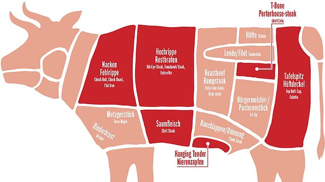 Auf der Rinder-Landkarte sind die interessantesten Cuts für die Zubereitung auf dem Grill abgebildet. Darunter sind auch Stücke, die in ...