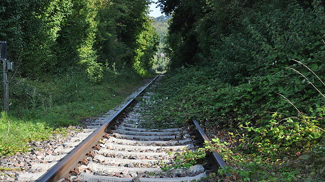 Die Ablachtalbahn im Dornröschenschlaf – hier beim Bahnübergang in der Tuttlinger Straße in Stockach. Die Brombeerranken verdeutlichen ...