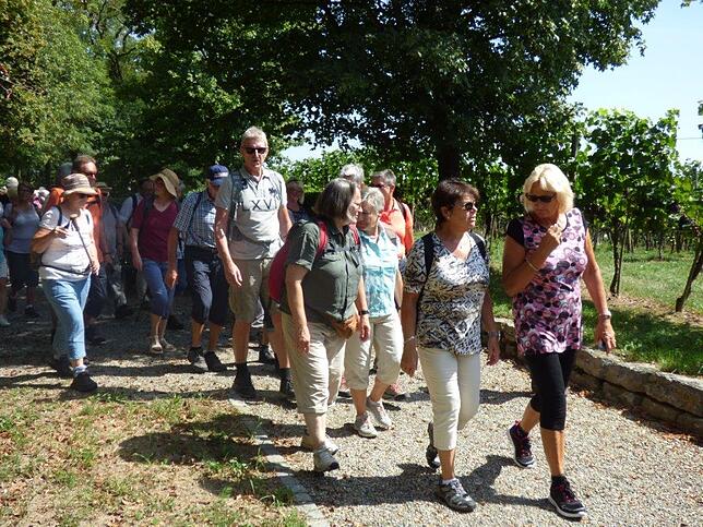 Bild 10: Mit dem SÜDKURIER durch die Apfelplantagen: Bilder der Wanderung