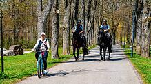 Beim großen Polizeitag am Freitag, 17. Oktober, präsentieren sich auch Reiterstaffeln. Die waren auch schon in Villingen-Schwenningen ...