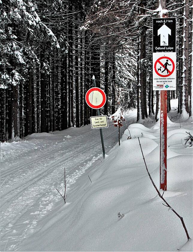 Hier haben Spaziergänger nichts verloren. Die Begegnung mit Langläufern auf den Loipen kann durch hohe Geschwindigkeiten recht ...