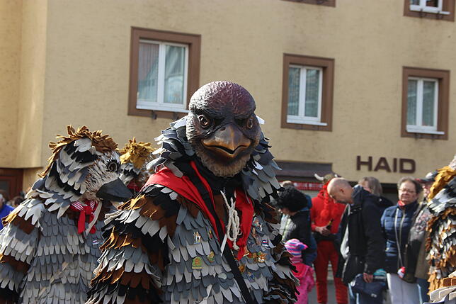 Bild 8: Der Fasnetumzug in Stühlingen in Bildern (2)