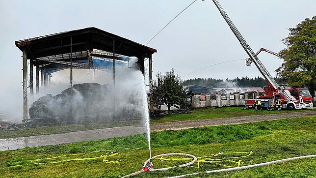 Bis zu 120 Rinder sterben Freitagmorgen bei einem Brand auf einem landwirtschaftlichen Anwesen in Trossingen. Personen kommen nach ...