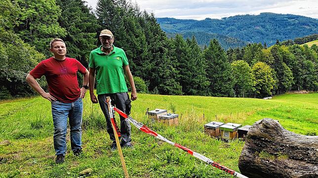 Christian Brendlin (rechts), Vorsitzender des Imkervereins Kleines Wiesental, sperrt beim Ortstermin mit dem vermeintlichen Bienen-Opfer ...