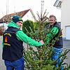 Die Funkenbuben Bambergen sammeln Weihnachtsbäume nicht nur in dem Überlinger Teilort, sondern auch in größeren Strahlen im Stadtgebiet. ...