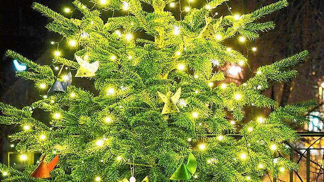 Als Zeichen der Hoffnung hatte die evangelische Kirchengemeinde schon zu Beginn der Adventszeit vor den Gotteshäusern in Wehr und ...