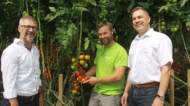 Bernd Grassel (Rewe, von links) zeigt sich zufrieden mit den Produkten, welche in Schwackenreute von Bio-Gemüsebauer Benjamin Wagner ...