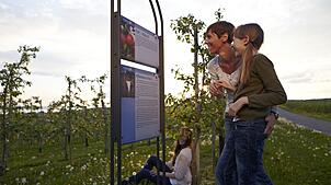 So macht Wandern auch Kindern Spaß: In Immenstaad erzählt ein Apfelweg Interessantes über den Obstanbau am Bodensee. In Hagnau erfährt ...