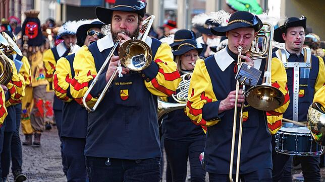 Bild : Bilder vom Umzug des Hochrhein Narrentreffens in Tiengen (Teil 2)