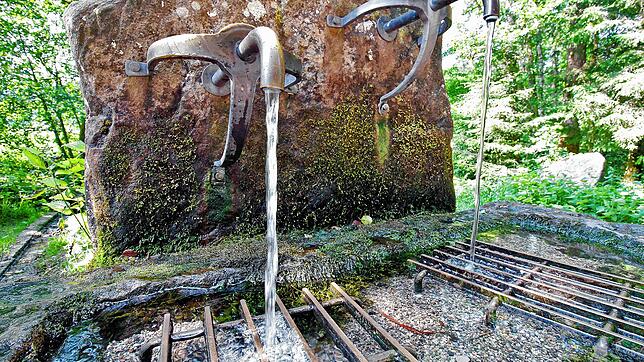 An der Romäusquelle sprudelt es noch. Doch immer öfters wird Quellwasser im Schwarzwald nun knapp.