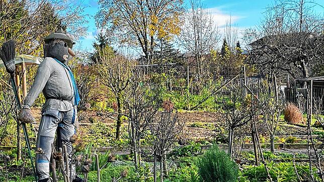 Werden die Karten doch noch einmal neu gemischt? Erst sollte lediglich der Bereich der Schrebergärten (Bild) bebaut werden, dann kam die ...