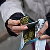 Weil sie mehrfach Marihuana an ihren eigenen Sohn verkauft hatte, um sich an ihm zu bereichern, wurde eine Frau aus Überlingen angeklagt.
