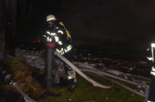 Bild 1: Bilder und Video vom Heuwagen-Brand in Brigachtal