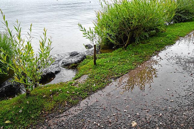 Das Wasser ist schon nahe am Uferweg.