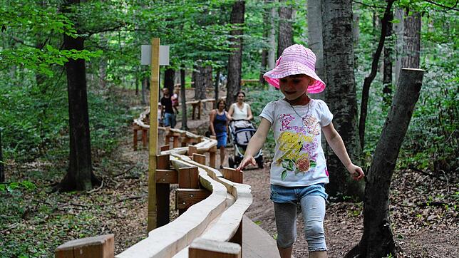 Eine Kugelbahn der &bdquo;arbor Waldpädagogik&ldquo; wie hier auf dem Bild in Böbingen soll in Birkendorf gebaut werden.