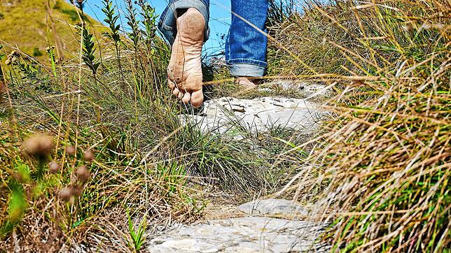 Barfuß durch die Heidelandschaft: Verfechter des Barfußlaufens sagen, dass sich diese Naturnähe positiv auf die Psyche auswirkt.