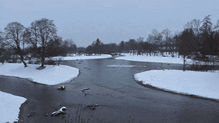 Der Donauzusammenfluss wird neu gestaltet und wieder natürlich hergestellt. Das Projekt befindet sich auf der Zielgeraden.