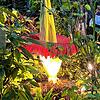 Die Titanwurz im Basler botanischen Garten.