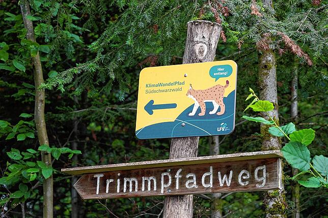 Klimawandelpfad und Trimm-Dich-Pfad beginnen beide gegenüber des ESV-Sportplatzes auf dem Waldshuter Mühleberg.