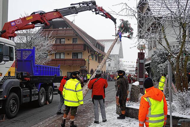 „Jetzt stoht de Narrebom!“ Mit Motorkraft und sehr viel Geschick wurde der höchste Narrenbaum seit Jahren in die Senkrechte ...