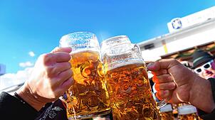 Besucher stoßen auf dem Oktoberfest mit Maßkrügen voller Bier an. Sowohl in München (hier auf dem Bild zu sehen) als auch am Bodensee ...