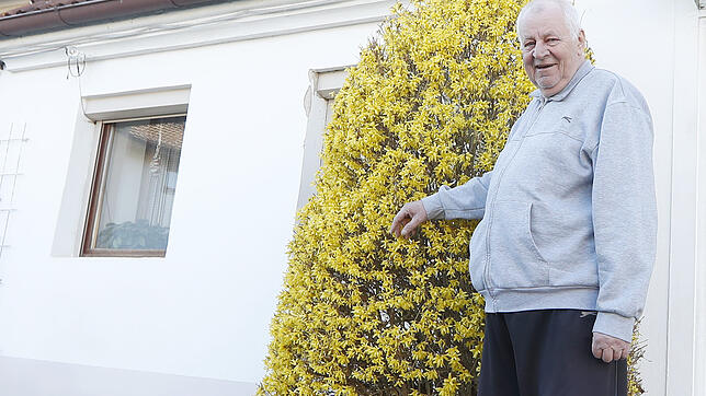 Harald Böttcher zeigt auf den für diese Jahreszeit viel zu früh blühenden Forsythienstrauch.
