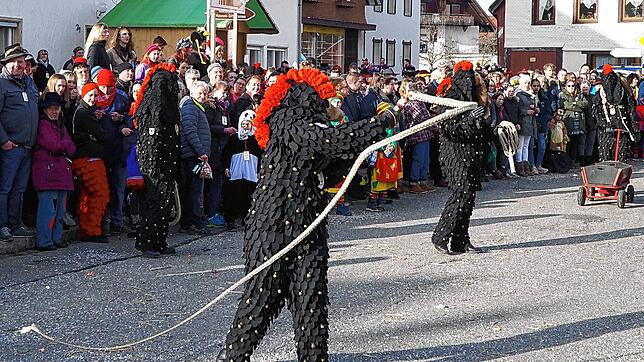 Das frühere Wettklöpfen beim Fuhrmannstag in Dittishausen ist heute dem Gaudiklöpfen gewichen. Auch in dieser Form zieht die ...
